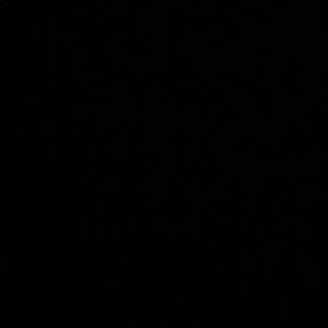 Meet your Posher, Kendall